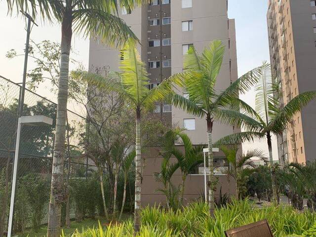 Venda em Jardim Belaura - São Paulo