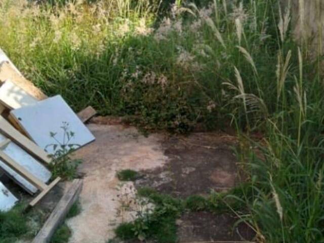 #62823788 - Casa para Locação em São Paulo - SP - 3