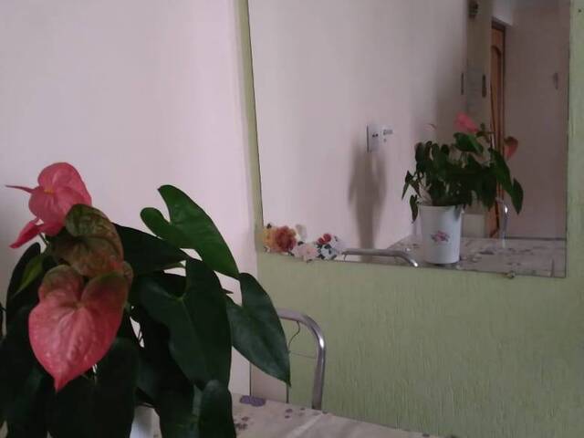 #AP2329 - Apartamento para Venda em São Paulo - SP - 3