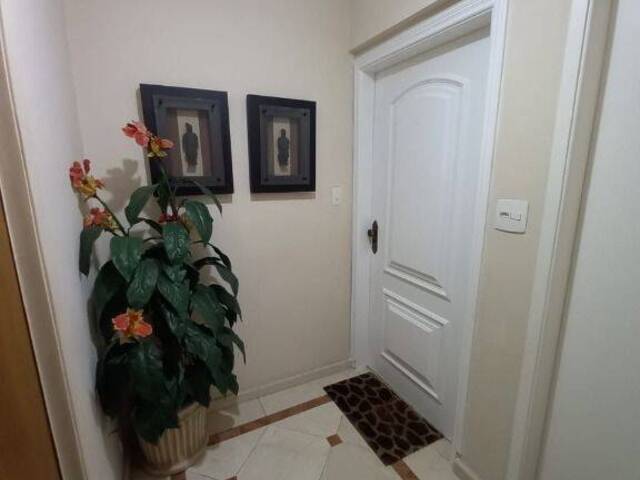 #AP2397 - Apartamento para Locação em São Paulo - SP - 3