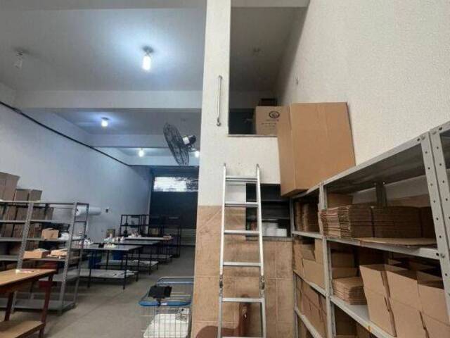 Galpão para Locação em São Paulo - 5