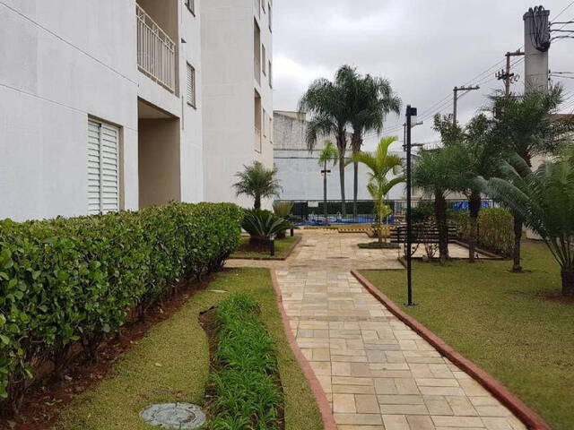 Venda em Vila Maria Alta - São Paulo