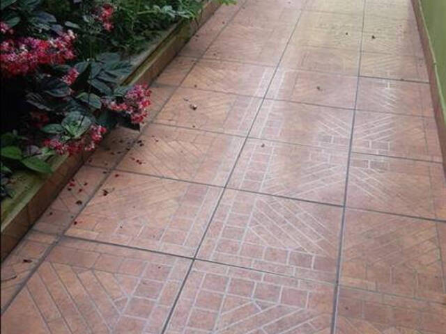 Venda em Vila Amália (Zona Norte) - São Paulo