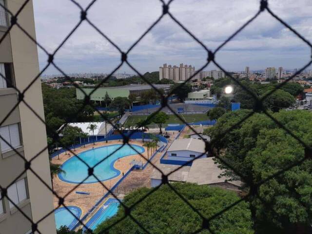 Venda em Jardim Regina - São Paulo