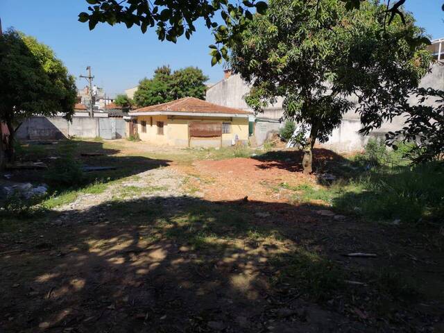 Terreno para Locação em São Paulo - 5
