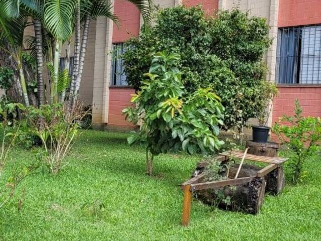 #AP2867 - Apartamento para Venda em São Paulo - SP - 3