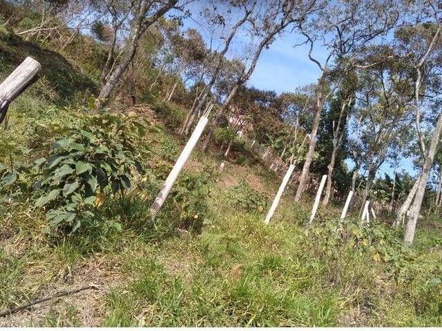 #TE0063 - Área para Venda em Cajamar - SP - 1