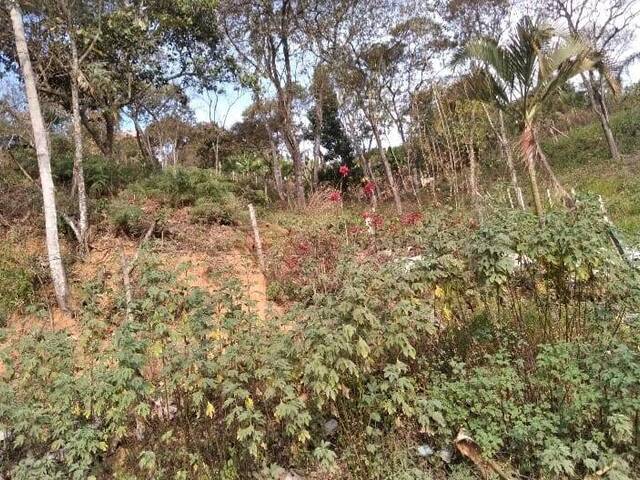 #TE0063 - Área para Venda em Cajamar - SP - 3