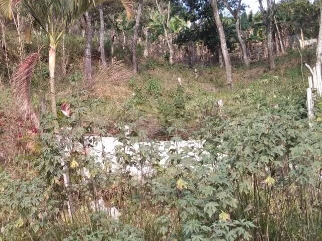 Área para Venda em Cajamar - 4