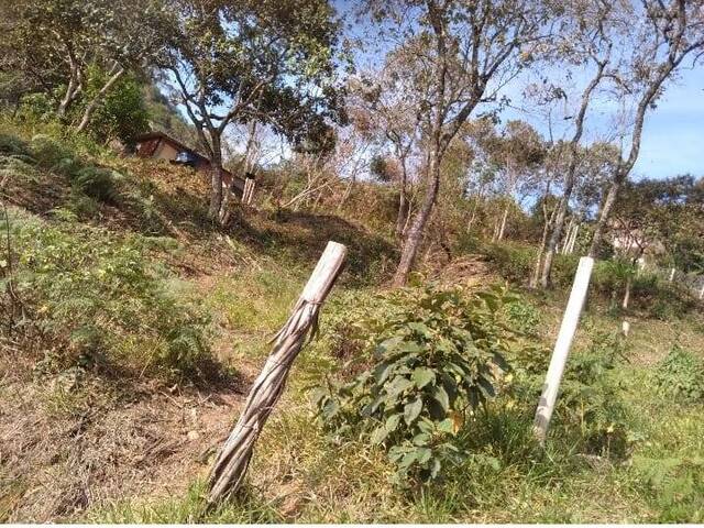 Área para Venda em Cajamar - 5