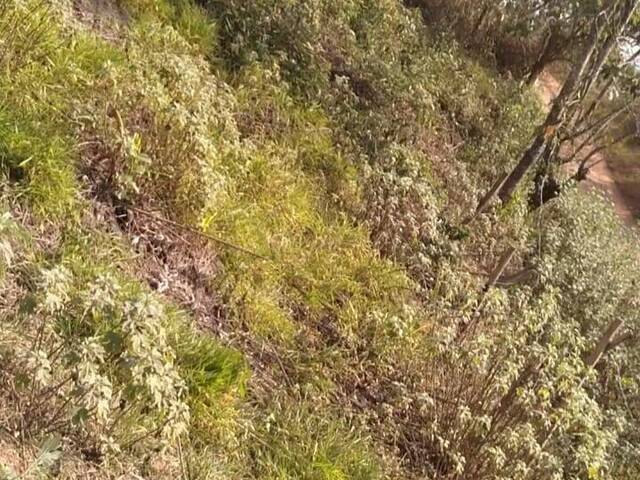 #TE0062 - Terreno para Venda em Cajamar - SP - 3