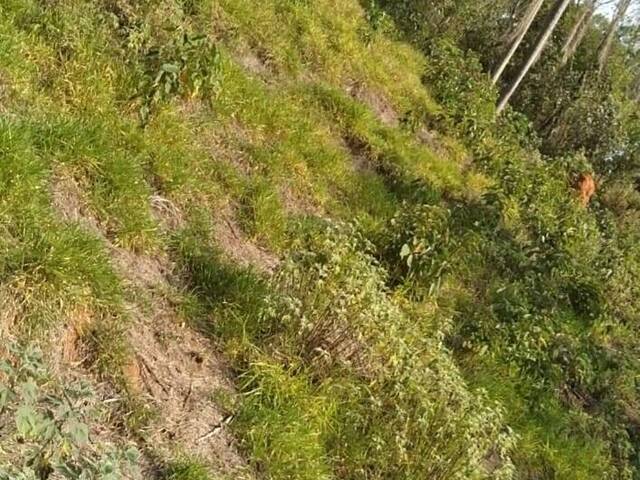 Terreno para Venda em Cajamar - 4